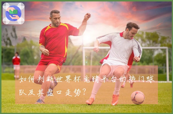 如何判断世界杯竞猜平台的热门球队及其盘口走势？