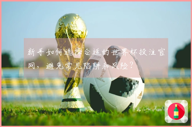 新手如何选择合适的世界杯投注官网，避免常见陷阱和风险？