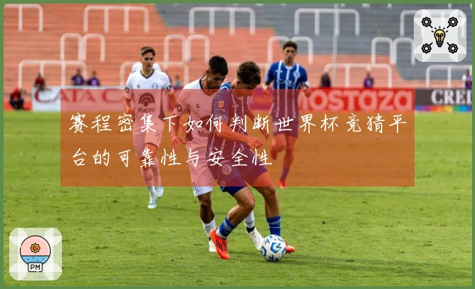 赛程密集下如何判断世界杯竞猜平台的可靠性与安全性