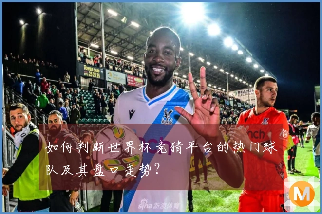 如何判断世界杯竞猜平台的热门球队及其盘口走势？