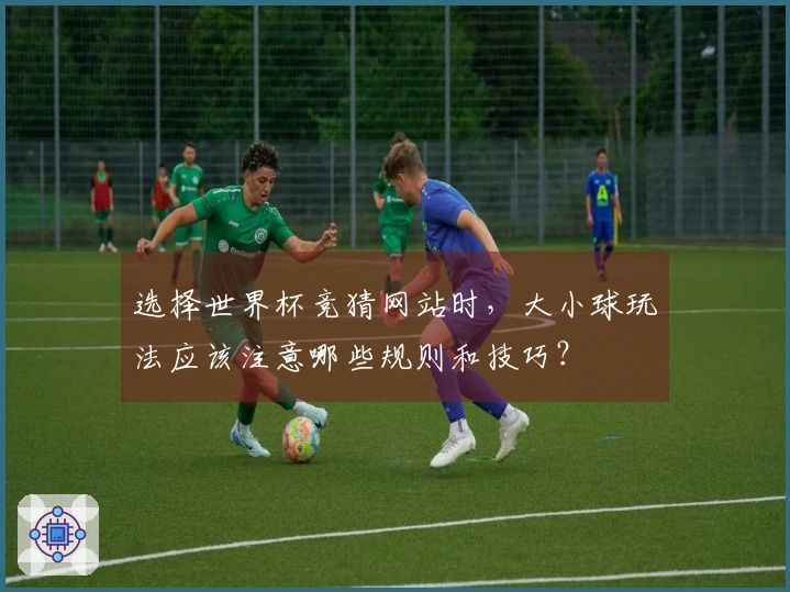 选择世界杯竞猜网站时，大小球玩法应该注意哪些规则和技巧？